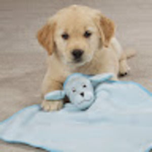 Meet your Posher, Bill